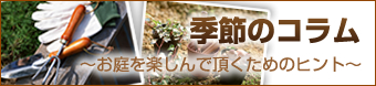 �G�߂̃R����