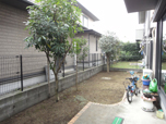 剪定施工事例