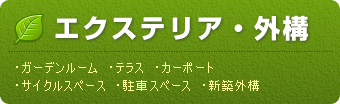 �G�N�X�e���A�E�O�\